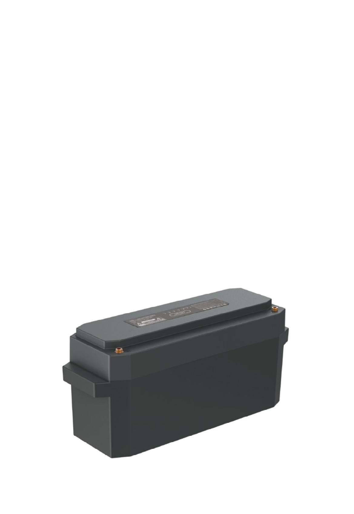 Batería Everfeed 12V